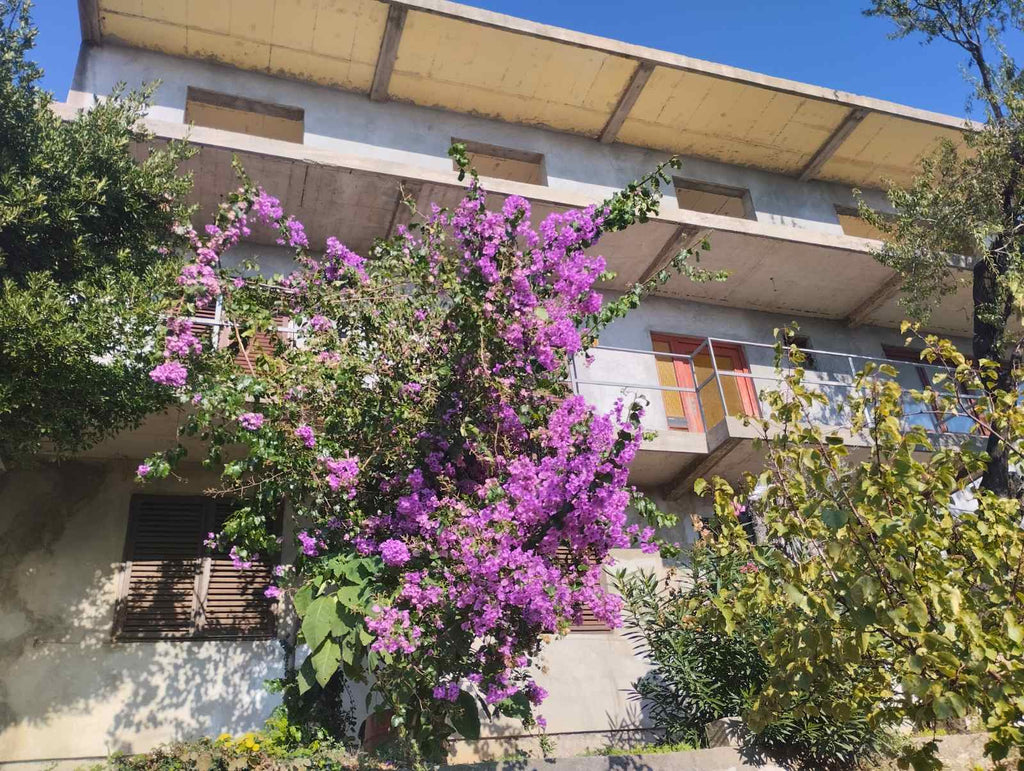 Дом с видом на море в г.Бар, Шушань