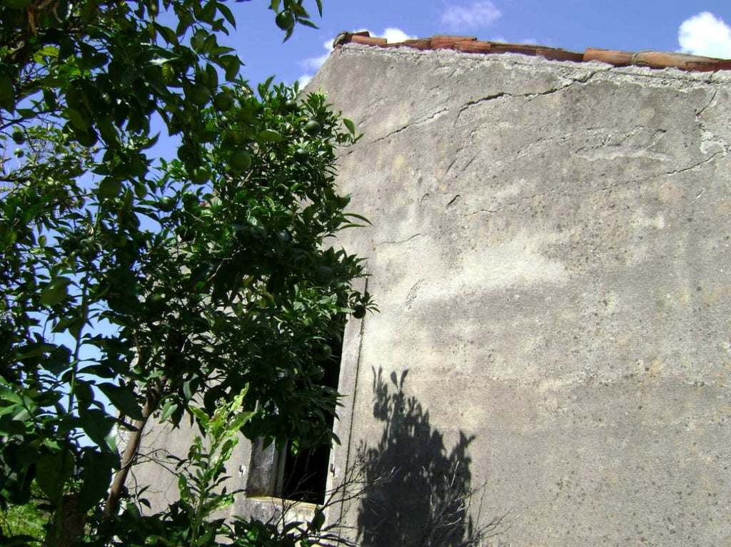 Земельный участок в пригороде Бара