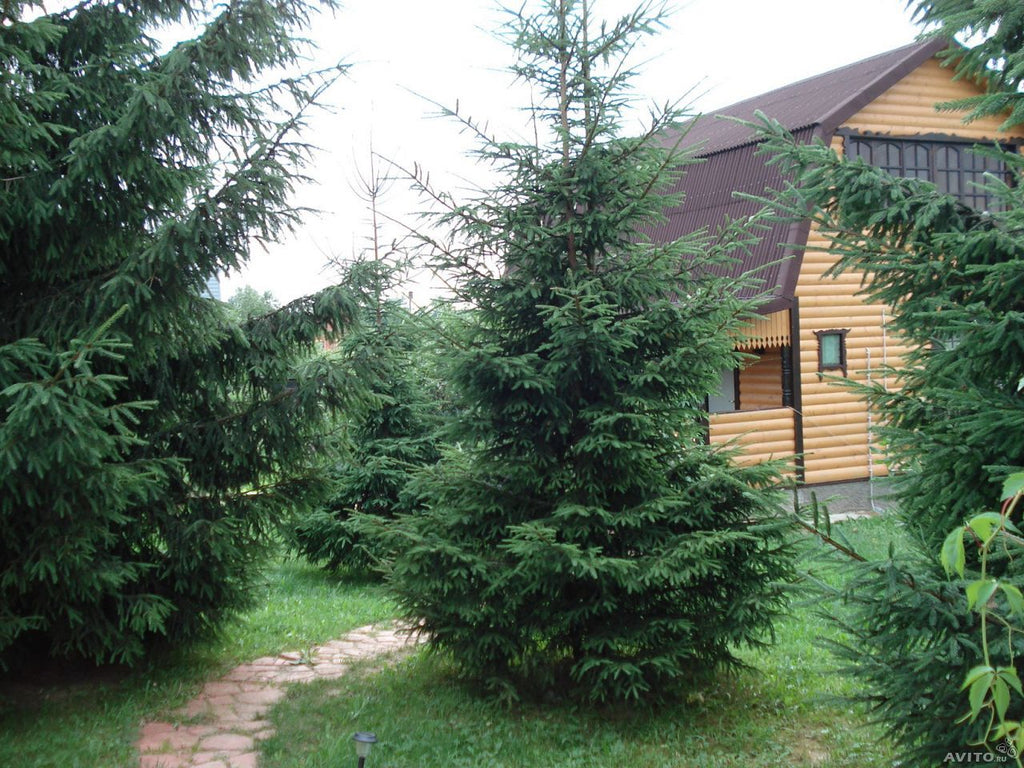 Обмен дома в Московской области на недвижимость в Черногории